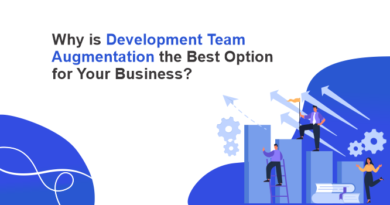Why is Development Team Augmentation the Best Option for You