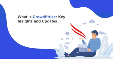 CrowdStrike Key Insights and Updates